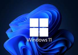   Windows 11