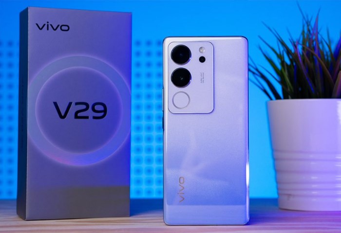 vivo v29