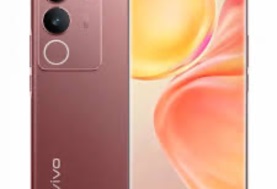 هل هاتف Vivo V29 يدعم شريحة eSIM؟