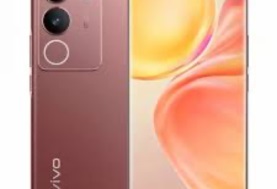 شاشة كبيرة وسعر متوسط.. مواصفات هاتف Vivo V29 في الأسواق