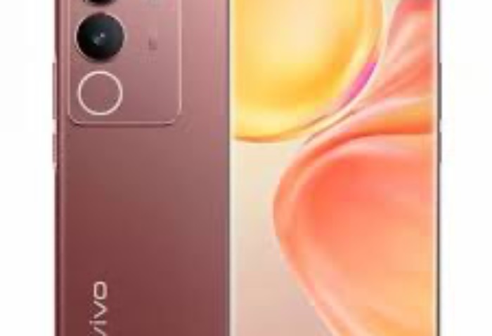 شاشة كبيرة وسعر متوسط.. مواصفات هاتف Vivo V29 في الأسواق