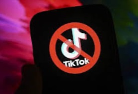 هل تم حظر تطبيق TikTok في أوروبا؟