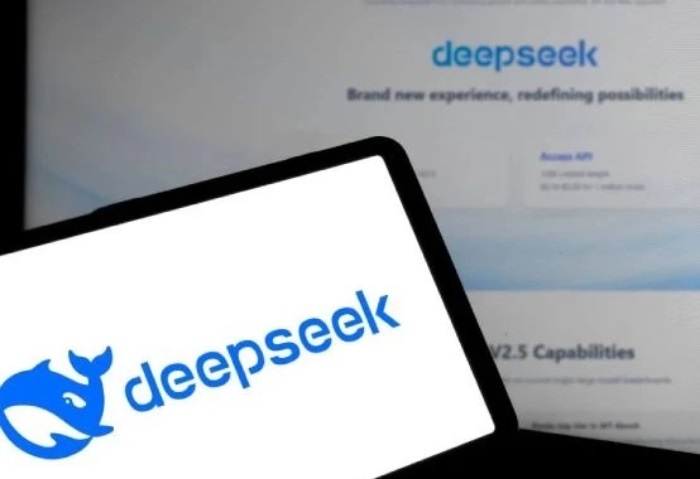 DeepSeek 