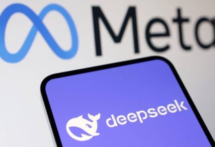 DeepSeek