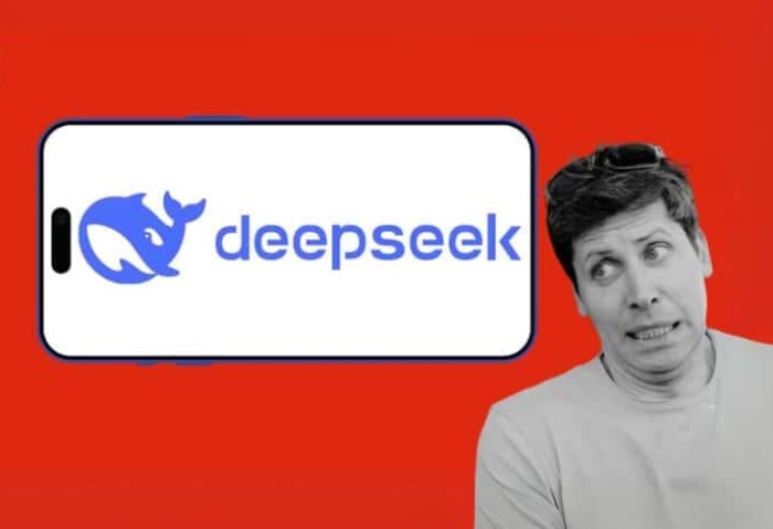 DeepSeek