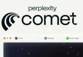Perplexity