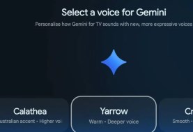 Gemini  Gemini