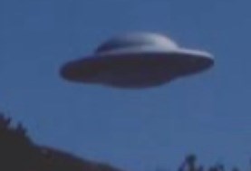 ظهور طبق طائر فى الوطن العربي في ظاهرة نادرة