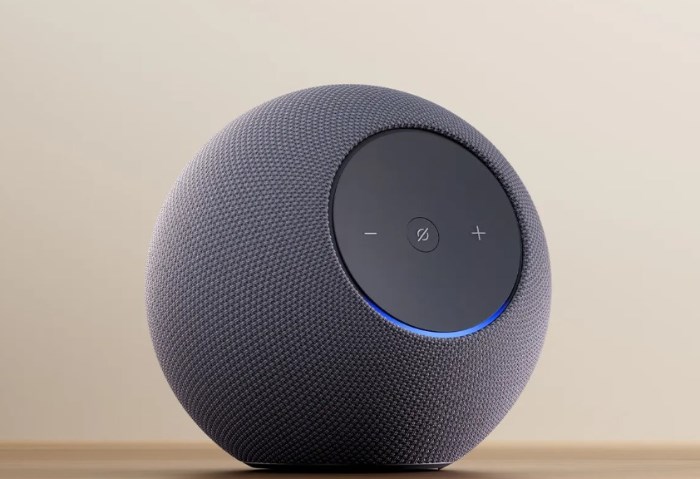 Echo