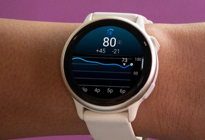 vivoactive 6