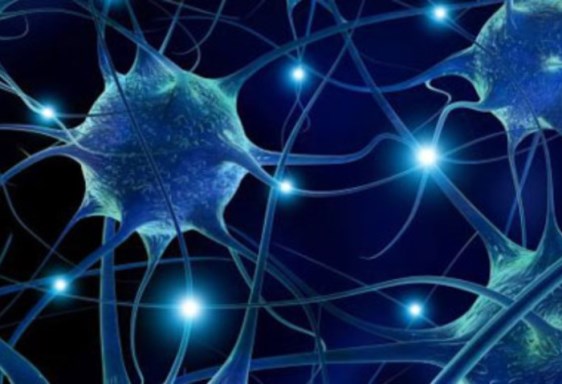 الخلايا العصبية