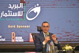 وزير الاستثمار