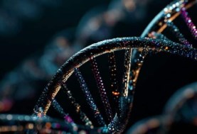 الطفرات الجينية