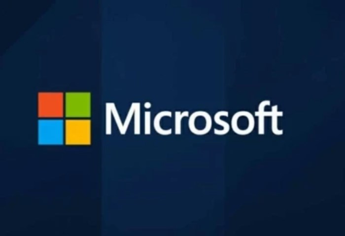 «مايكروسوفت» 