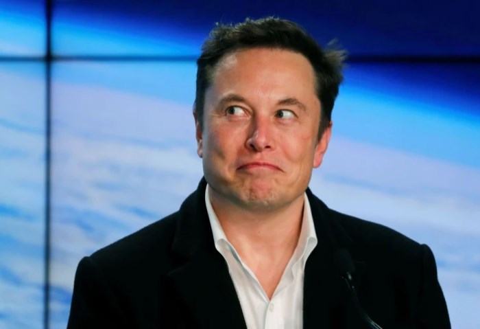 إيلون ماسك