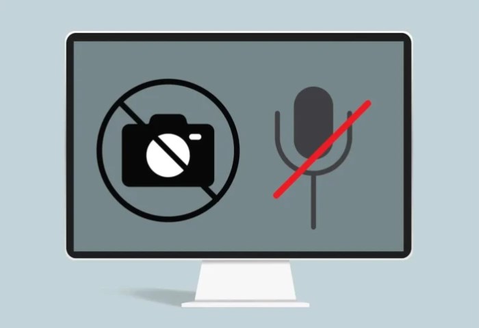 صلاحيات الكاميرا والمايك