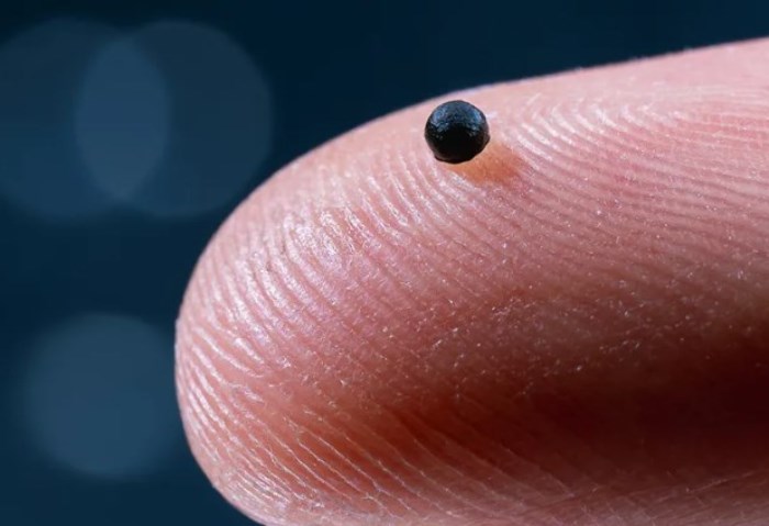 روبوت بحجم حبة رمل 