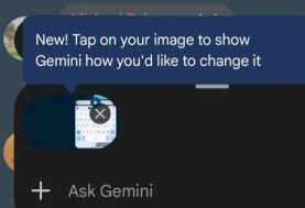 Gemini