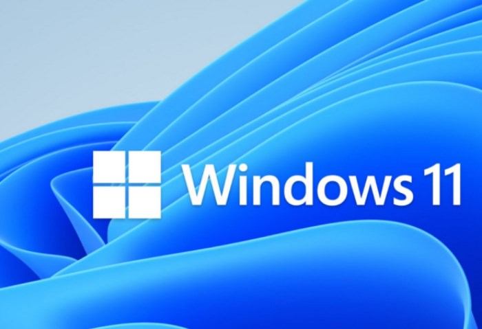 ويندوز 11