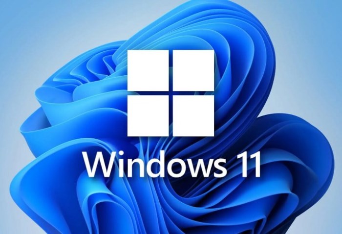 نظام Windows 11