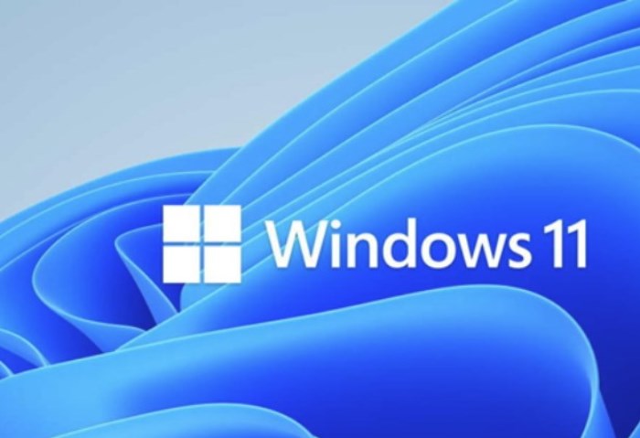 ويندوز 11