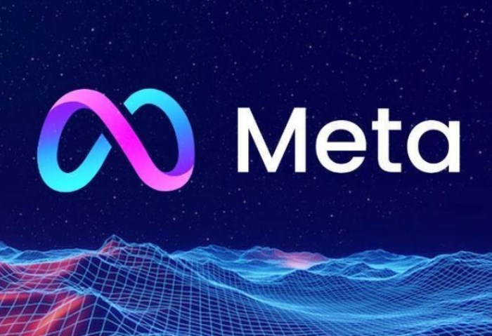 شركة ميتا