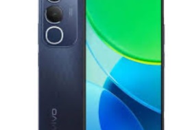 كاميرا عالية وإمكانيات جبارة.. مواصفات وسعر هاتف Vivo Y19s