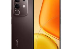 هاتف Vivo Y29.. بطارية تدوم 3 أيام وسعر منافس