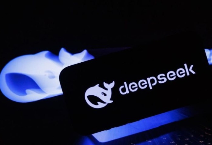 DeepSeek 