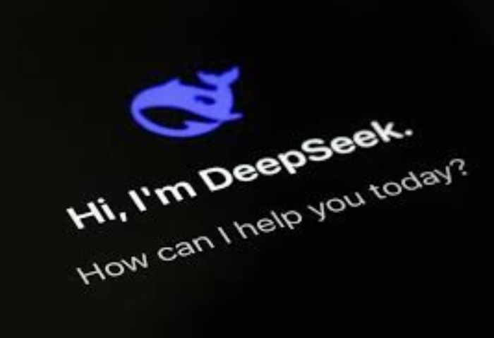 DeepSeek