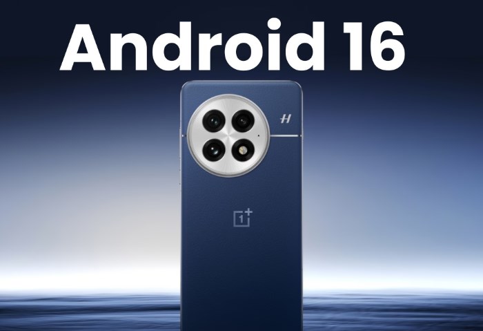 OnePlus