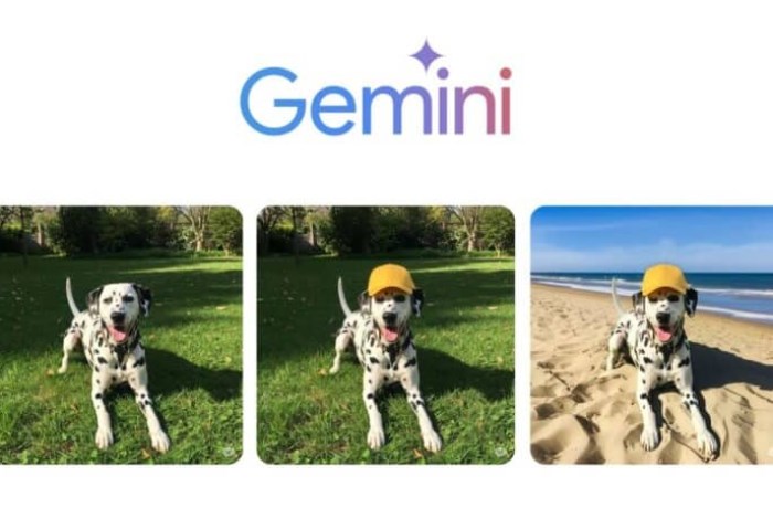 تعديل الصور بالذكاء الاصطناعي في Gemini تعديل الصور بالذكاء الاصطناعي في Gemini