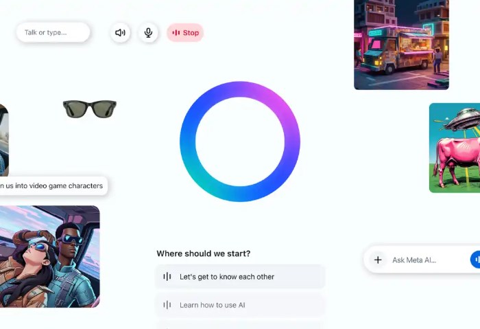 Meta Meta