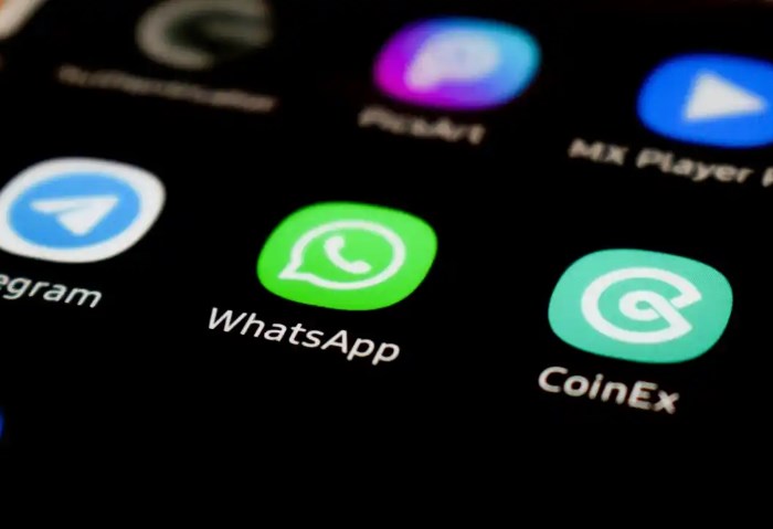 WhatsApp WhatsApp