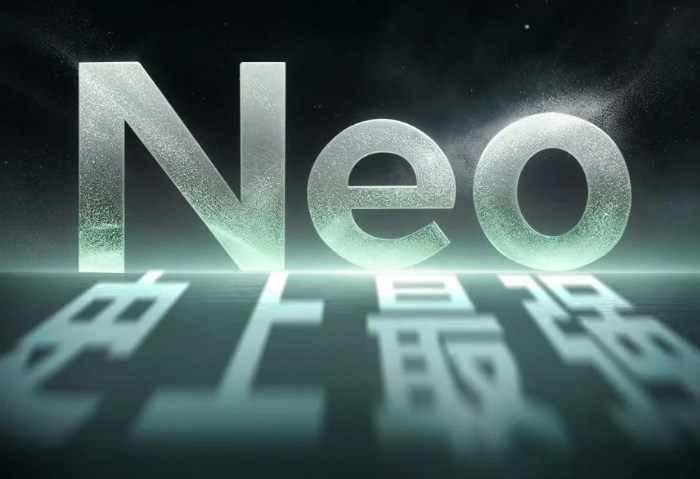 Neo 7 Turbo Neo 7 Turbo