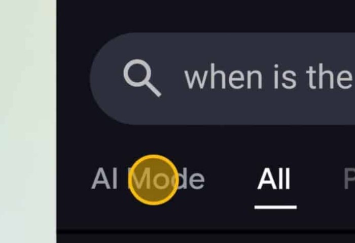 AI Mode AI Mode