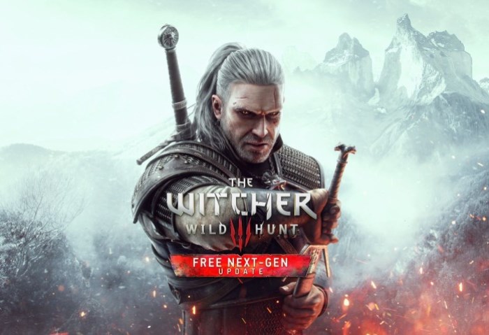 The Witcher 3 The Witcher 3