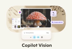 Copilot Vision