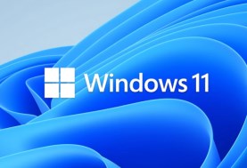 ويندوز 11