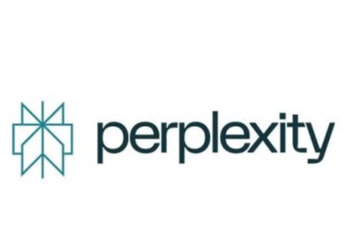 Perplexity