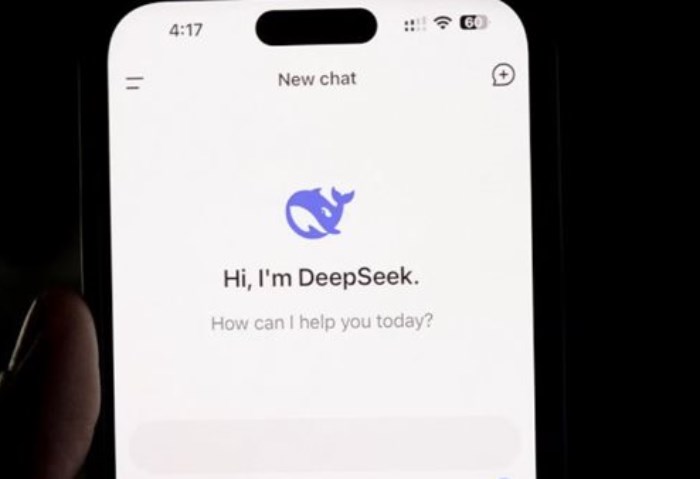 DeepSeek DeepSeek