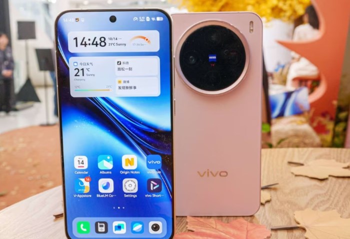 Vivo X300 Pro Mini Vivo X300 Pro Mini