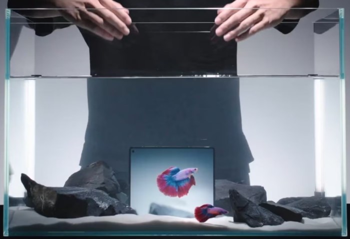 Vivo X Fold 5 Vivo X Fold 5