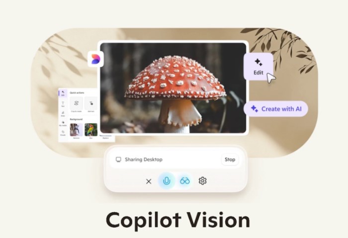 Copilot Vision Copilot Vision