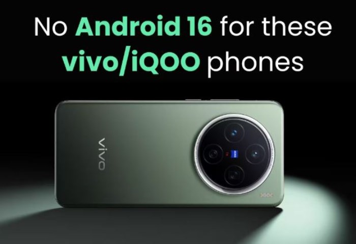 Vivo Vivo