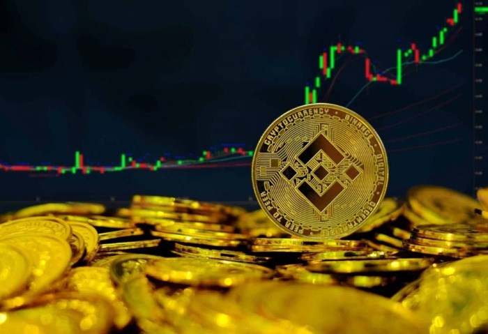 BNB BNB