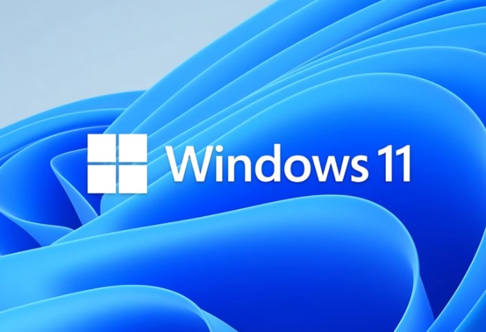 ويندوز 11 ويندوز 11