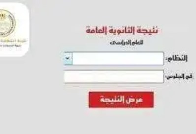 الثانوية العامة 2025.. النتيجة على الرابط الرسمي