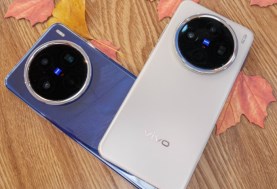 Vivo X300