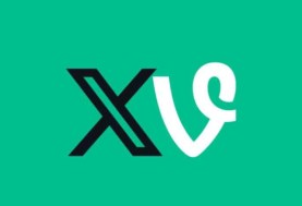 Vine